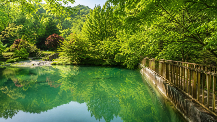 논산 선샤인스튜디오의 근대 거리와 전차·마차 세트장