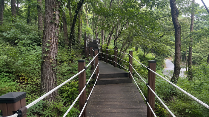 오도산자연휴양림 계곡과 목재 다리