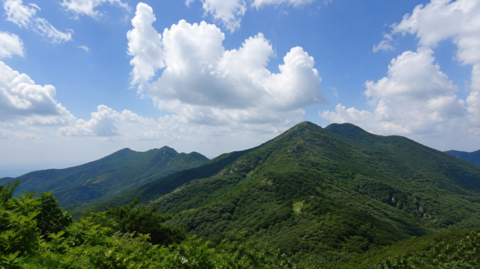 영천 치산계곡을 품은 팔공산의 여름 능선