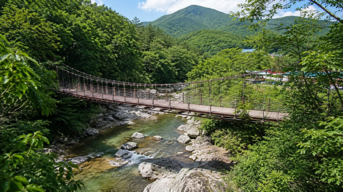 포천 백운계곡을 가로지르는 출렁다리와 계곡 전경