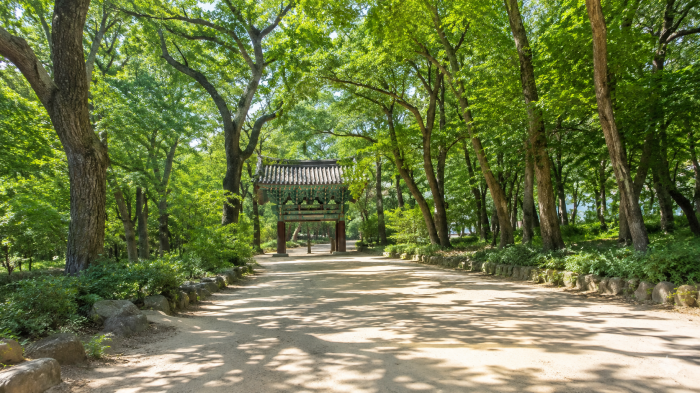 포항 내연산 보경사로 들어가는 숲길과 일주문 풍경