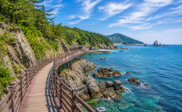 “총길이 58km 바다 절경길” 포항 호미반도 해안둘레길, 호랑이 꼬리를 따라 걷다 포항 호미반도 해안둘레길의 바다 위 데크로드와 동해 기암절벽, 푸른 수평선이 어우러진 해안 트레킹 풍경