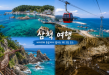 삼척 장호항의 투명한 바다, 삼척해상케이블카, 초곡용굴촛대바위길 해안 절벽, 환선굴 동굴 풍경을 보여주는 여행 이미지