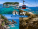 “강릉만 가기엔 아깝다” 삼척, 장호항부터 환선굴까지 꽉 찬 동해 여행 삼척 장호항의 투명한 바다, 삼척해상케이블카, 초곡용굴촛대바위길 해안 절벽, 환선굴 동굴 풍경을 보여주는 여행 이미지
