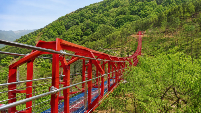 산청 동의보감촌 산비탈을 가로지르는 붉은 숲길 보행교