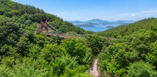 울창한 숲과 서해를 배경으로 이어지는 석모도수목원 출렁다리