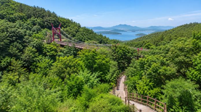 울창한 숲과 서해를 배경으로 이어지는 석모도수목원 출렁다리