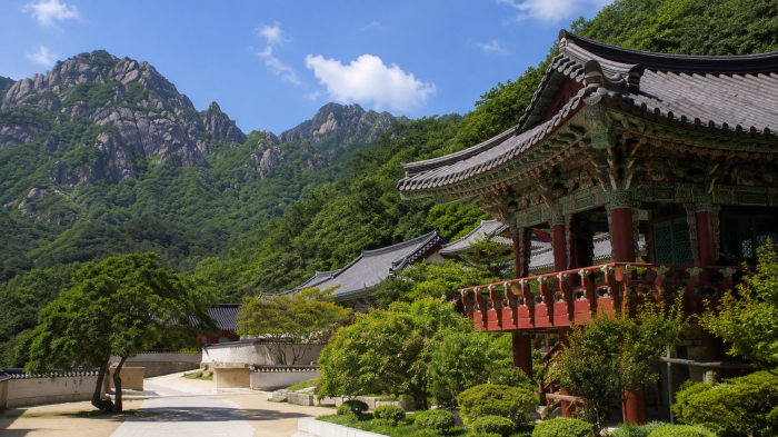 설악산 기암봉 아래 자리한 신흥사 전각과 여름 숲