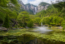 장수대 900m 계단 끝, 설악산 대승폭포가 여름을 쏟아낸다 설악산 대승폭포와 암벽, 울창한 숲 전경