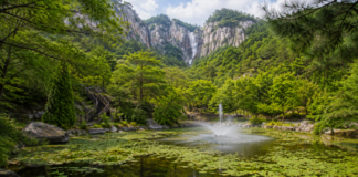 설악산 대승폭포와 암벽, 울창한 숲 전경