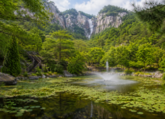 장수대 900m 계단 끝, 설악산 대승폭포가 여름을 쏟아낸다 설악산 대승폭포와 암벽, 울창한 숲 전경