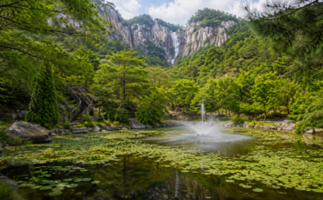 장수대 900m 계단 끝, 설악산 대승폭포가 여름을 쏟아낸다 설악산 대승폭포와 암벽, 울창한 숲 전경