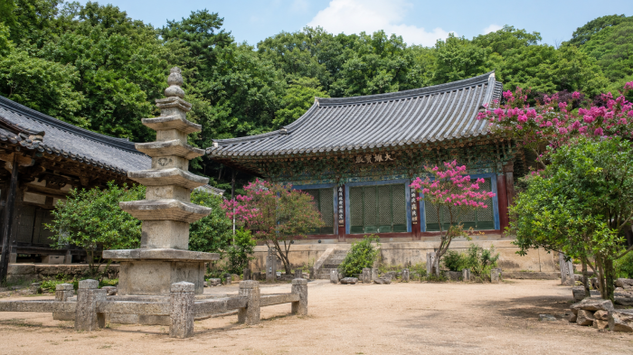 개심사 경내의 배롱나무와 전각, 석탑이 보이는 여름 풍경
