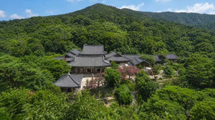 나무 그늘 아래 보이는 서산 개심사 대웅전과 석탑
