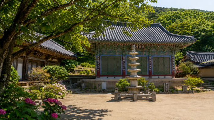 푸른 숲길 사이에 서 있는 서산 개심사 일주문