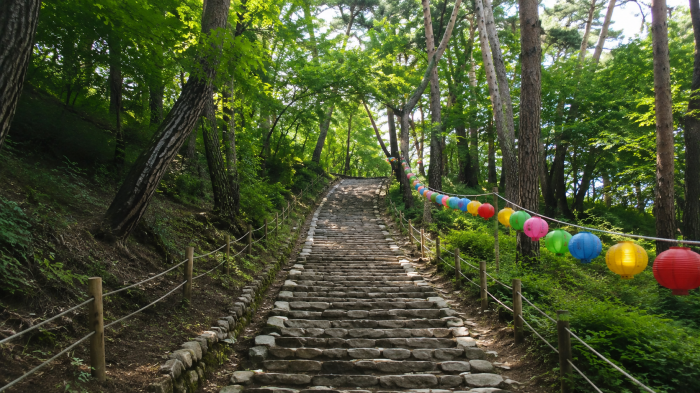 서산 개심사 대웅전 앞 석탑과 배롱나무가 어우러진 여름 사찰 풍경