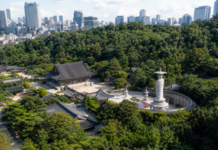 서울 강남 도심 빌딩숲과 숲에 둘러싸인 봉은사 전경