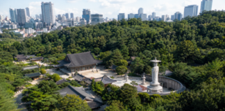 서울 봉은사 여행정보, 코엑스 옆 천년고찰에서 만나는 미륵대불과 도심 산책 서울 강남 도심 빌딩숲과 숲에 둘러싸인 봉은사 전경