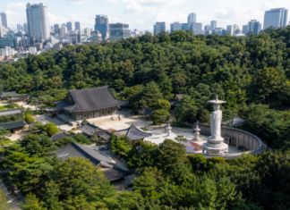 서울 강남 도심 빌딩숲과 숲에 둘러싸인 봉은사 전경