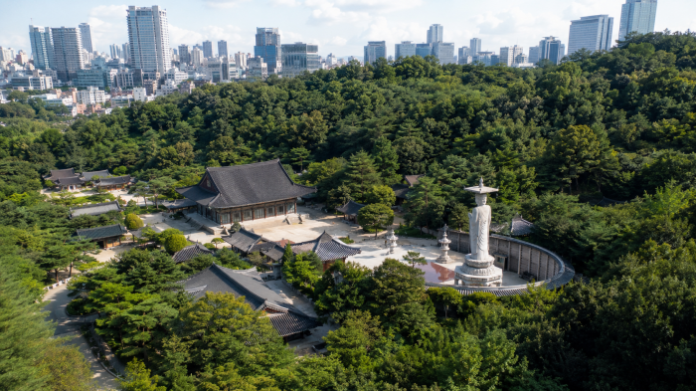 서울 강남 도심 빌딩숲과 숲에 둘러싸인 봉은사 전경