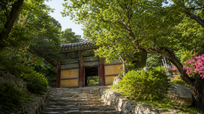 계룡산 숲길을 지나 만나는 신원사 입구와 전통문