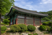 계룡산 숲에 안긴 공주 신원사의 여름 전경