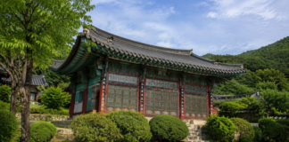 계룡산 신원사, 배롱나무가 피면 천년고찰은 가장 붉은 계절을 맞는다 계룡산 숲에 안긴 공주 신원사의 여름 전경