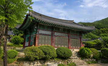 계룡산 숲에 안긴 공주 신원사의 여름 전경