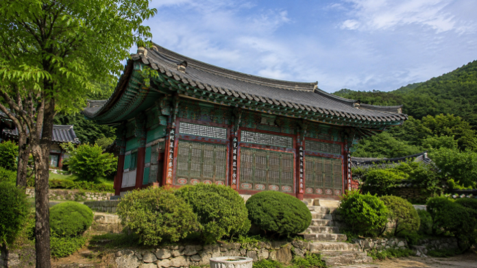 계룡산 숲에 안긴 공주 신원사의 여름 전경