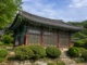계룡산 숲에 안긴 공주 신원사의 여름 전경