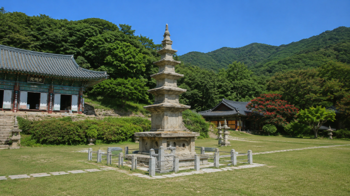 계룡산 자락의 신원사 석탑과 주변 산세