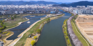순천 동천야광축제 8월 1일 개막, 야광 카약과 불꽃쇼로 15일간 빛난다 순천 동천야광축제 개막식에서 동천 위로 펼쳐지는 뮤직불꽃쇼
