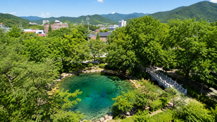 태백 황지연못과 주변 숲, 도심과 산자락이 내려다보이는 여름 전경