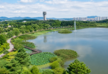의왕 왕송호수 연꽃길, 전철 타고 떠나는 수도권 당일치기 여행 연꽃습지와 산책로, 음악분수가 펼쳐진 의왕 왕송호수공원 여름 전경