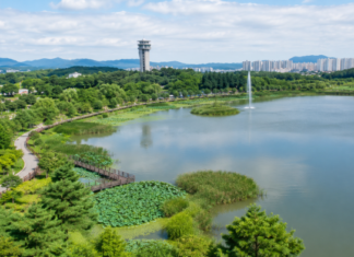 의왕 왕송호수 연꽃길, 전철 타고 떠나는 수도권 당일치기 여행 연꽃습지와 산책로, 음악분수가 펼쳐진 의왕 왕송호수공원 여름 전경