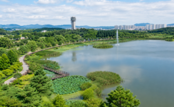 의왕 왕송호수 연꽃길, 전철 타고 떠나는 수도권 당일치기 여행 연꽃습지와 산책로, 음악분수가 펼쳐진 의왕 왕송호수공원 여름 전경