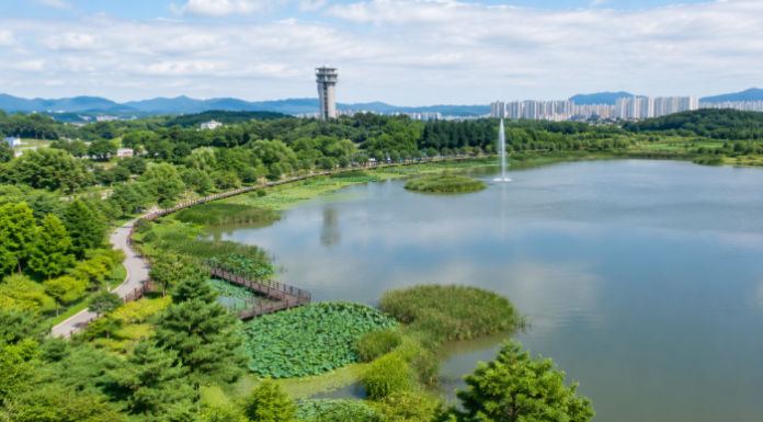 연꽃습지와 산책로, 음악분수가 펼쳐진 의왕 왕송호수공원 여름 전경