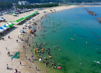 바다·계곡·숲을 한 번에…올여름 가족여행은 울진으로 울진 구산해수욕장 백사장과 송림이 어우러진 여름 풍경