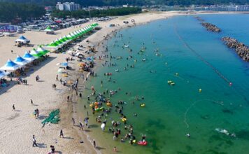 바다·계곡·숲을 한 번에…올여름 가족여행은 울진으로 울진 구산해수욕장 백사장과 송림이 어우러진 여름 풍경