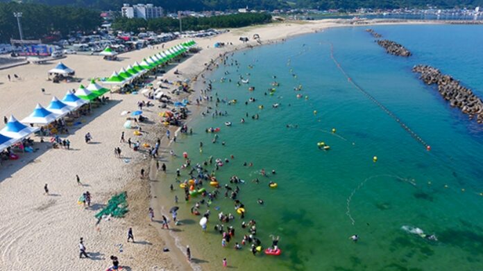 울진 구산해수욕장 백사장과 송림이 어우러진 여름 풍경