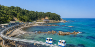 울진 죽변해안스카이레일, 2.8㎞ 왕복 40분…동해 바위 해안 따라 달리는 모노레일 푸른 동해와 바위 해안을 따라 달리는 울진 죽변해안스카이레일