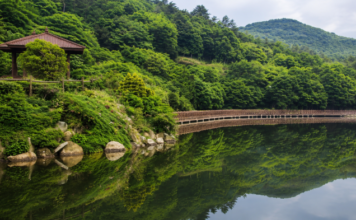 완도수목원 대문저수지와 난대림, 수변데크 전경