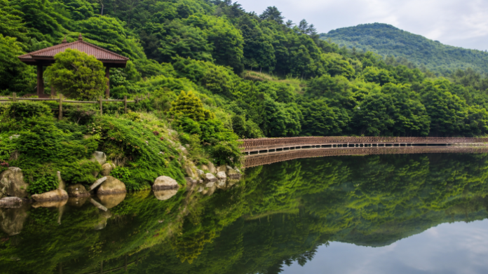 완도수목원 대문저수지와 난대림, 수변데크 전경
