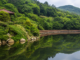 완도수목원 대문저수지와 난대림, 수변데크 전경