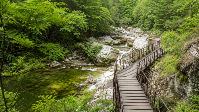 오대산 계곡과 숲을 따라 이어지는 월정사 목재 탐방로