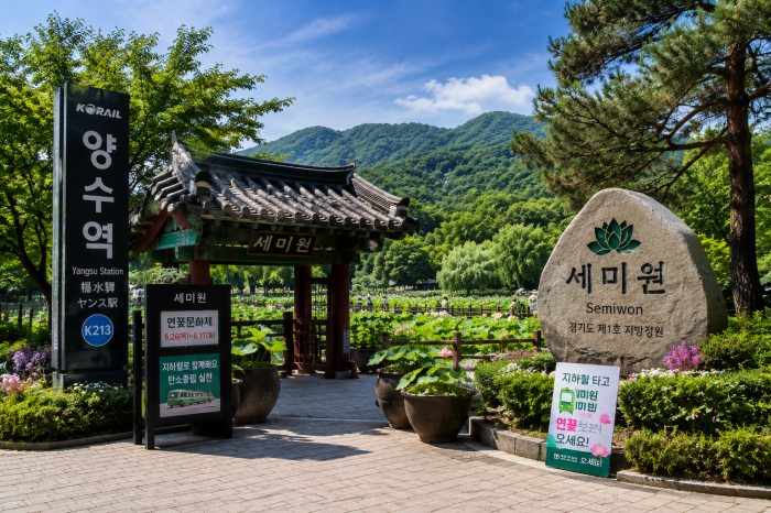 경의중앙선 양수역에서 세미원으로 이동하는 여름 여행객과 정원 입구 풍경