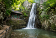 양산 홍룡사 홍룡폭포, 천년 고찰 옆 3단 폭포가 만든 여름 절경 양산 홍룡사 관음전 옆으로 떨어지는 홍룡폭포 여름 풍경