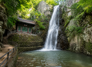 양산 홍룡사 홍룡폭포, 천년 고찰 옆 3단 폭포가 만든 여름 절경 양산 홍룡사 관음전 옆으로 떨어지는 홍룡폭포 여름 풍경