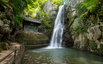 양산 홍룡사 홍룡폭포, 천년 고찰 옆 3단 폭포가 만든 여름 절경 양산 홍룡사 관음전 옆으로 떨어지는 홍룡폭포 여름 풍경