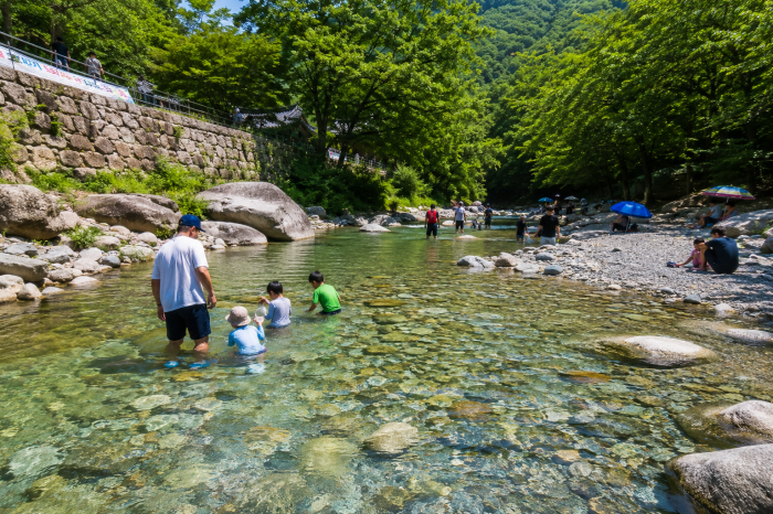 양산 내원사계곡 초입의 얕고 완만한 물놀이 구간에서 가족이 쉬는 모습